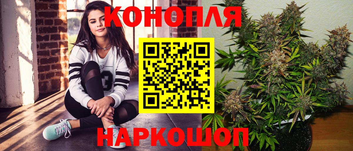 Галлюциногенные грибы Черногорск